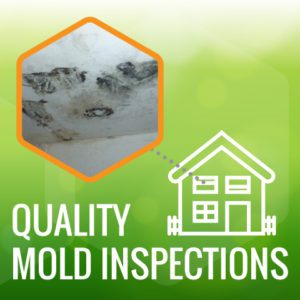 Mold Inspection orlando