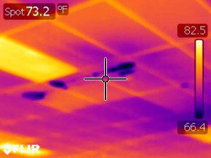 ceiling leak thermal imaging services in orlando fl