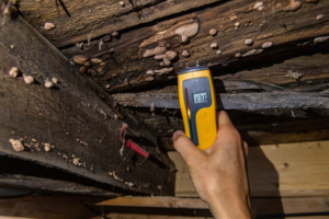 mold inspection services in orlando