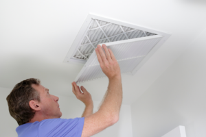 commercial mold inspection in florida