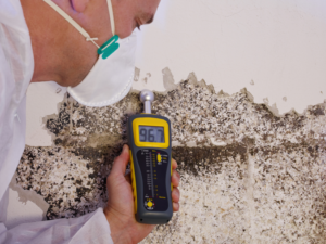 professional mold inspection and assessment in orlando