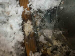 plumbing & structural water leak detection Apopka