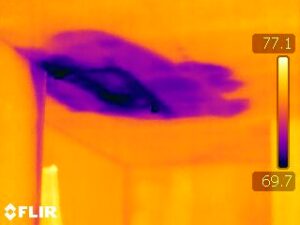 Roof Leak Detection Kissimmee