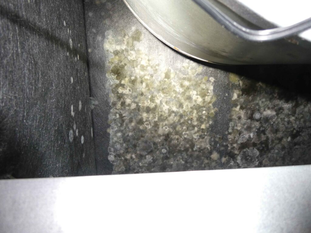 Mold Inspection Sanford