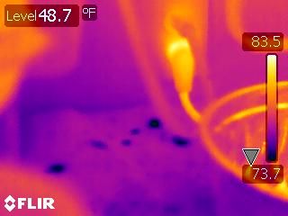 Apopka infrared Thermal Imaging