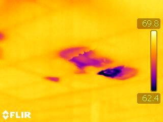 Thermal Imaging Sanford