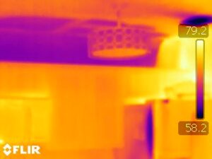 Thermal imaging in Lake Mary FL