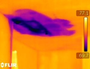 Thermal imaging Casselberry FL