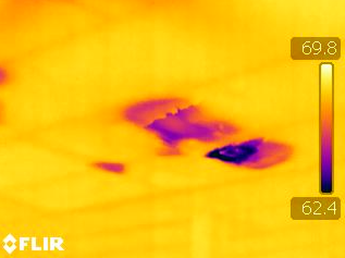 Thermal Imaging Orange County FL